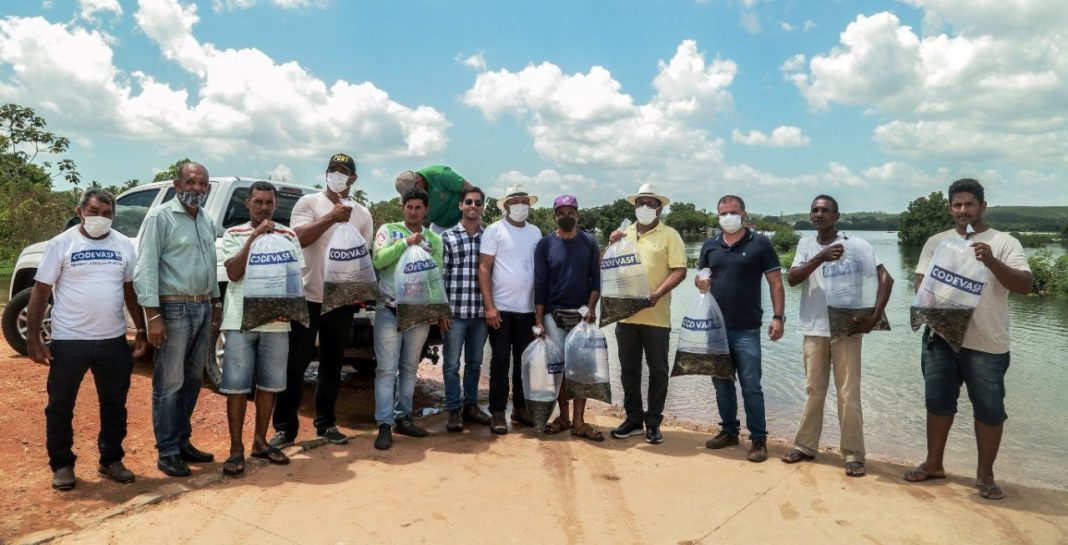 peixamento-prainha-piscicultores-penedo-foto-deywisson-duarte (8)